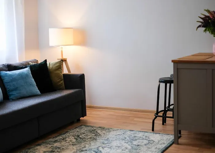 Ohtu Poik 2 City Center Basement Apartment
