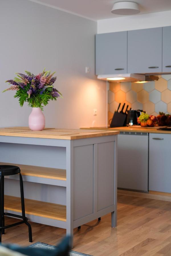 Ohtu Poik 2 City Center Basement Apartment *