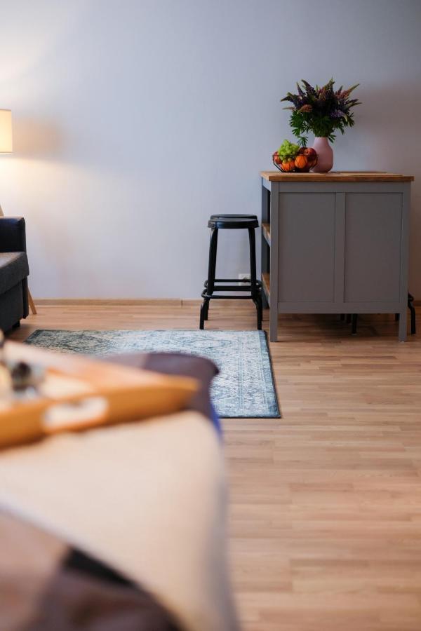 Ohtu Poik 2 City Center Basement Apartment Apartment *