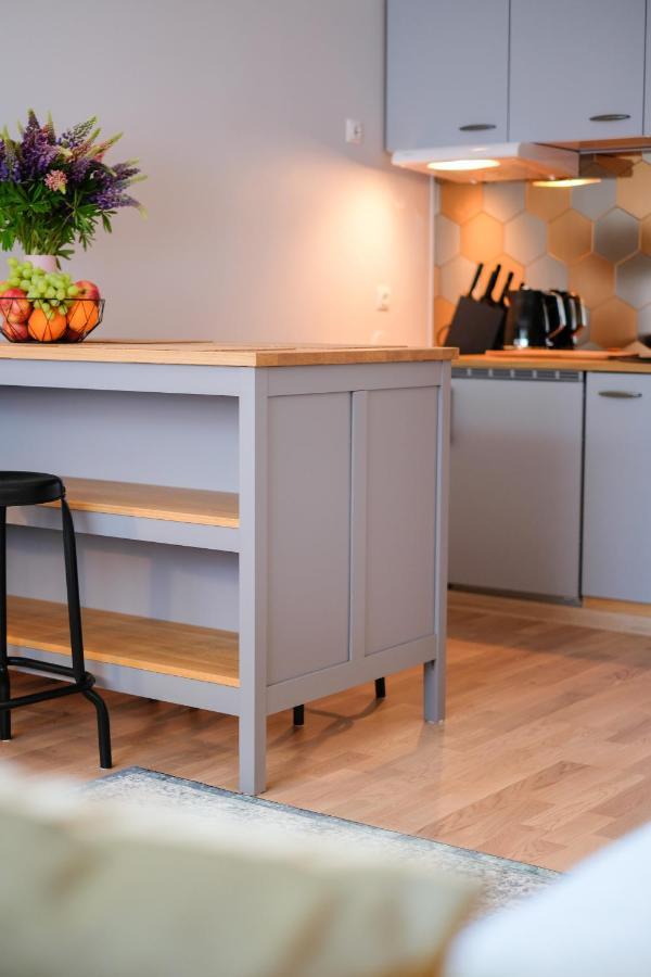 Ohtu Poik 2 City Center Basement Apartment Apartment